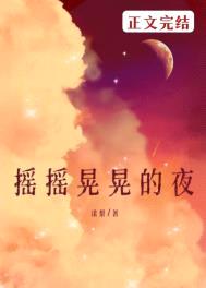 摇摇晃晃的夜封面